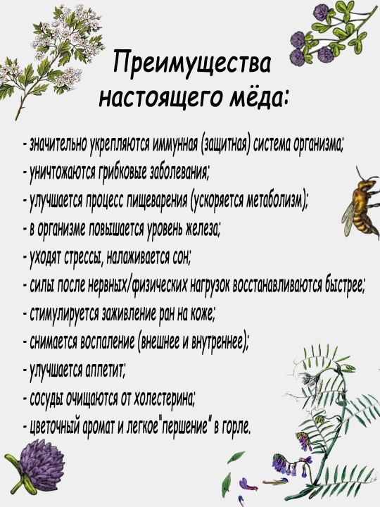 Tog' asali 500gr