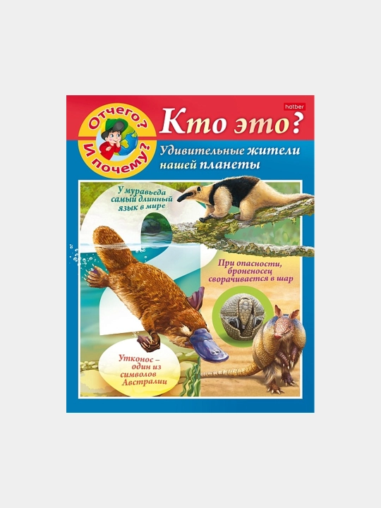 Книжка "Маленькому почемучке", "Отчего и почему? Кто это?", А5 формат, 8 листов