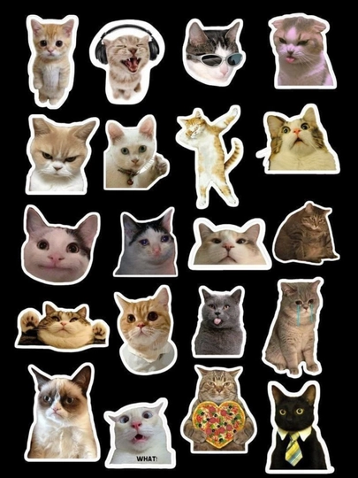 Стикеры смешных котят