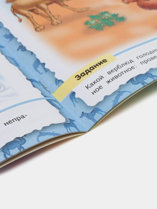 Kitob Malen'komu pochemuchke, O zhivotnykh, A5 format, 8 varaq