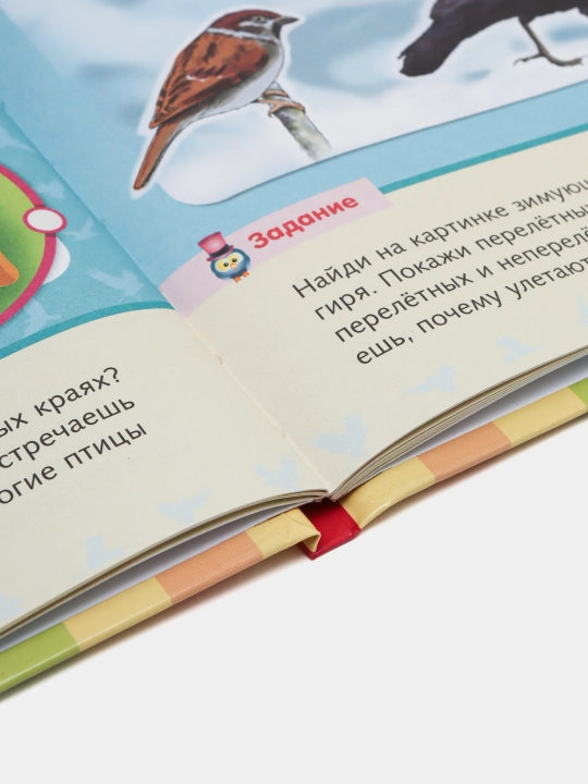 Книжка Почемучка, Малышам о птицах, А5 формат, 16 листов
