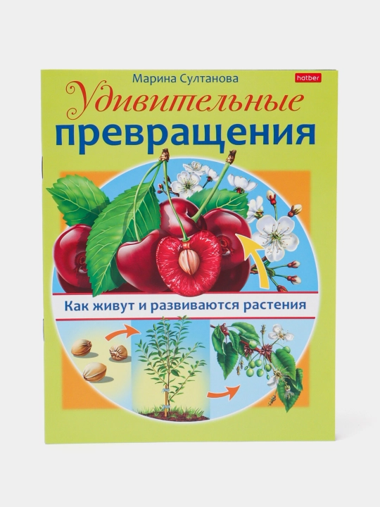 Ajoyib evrilishlar kitobi, Osimliklar qanday yashaydi va rivojlanadi, A5 format, 8 varaq - 