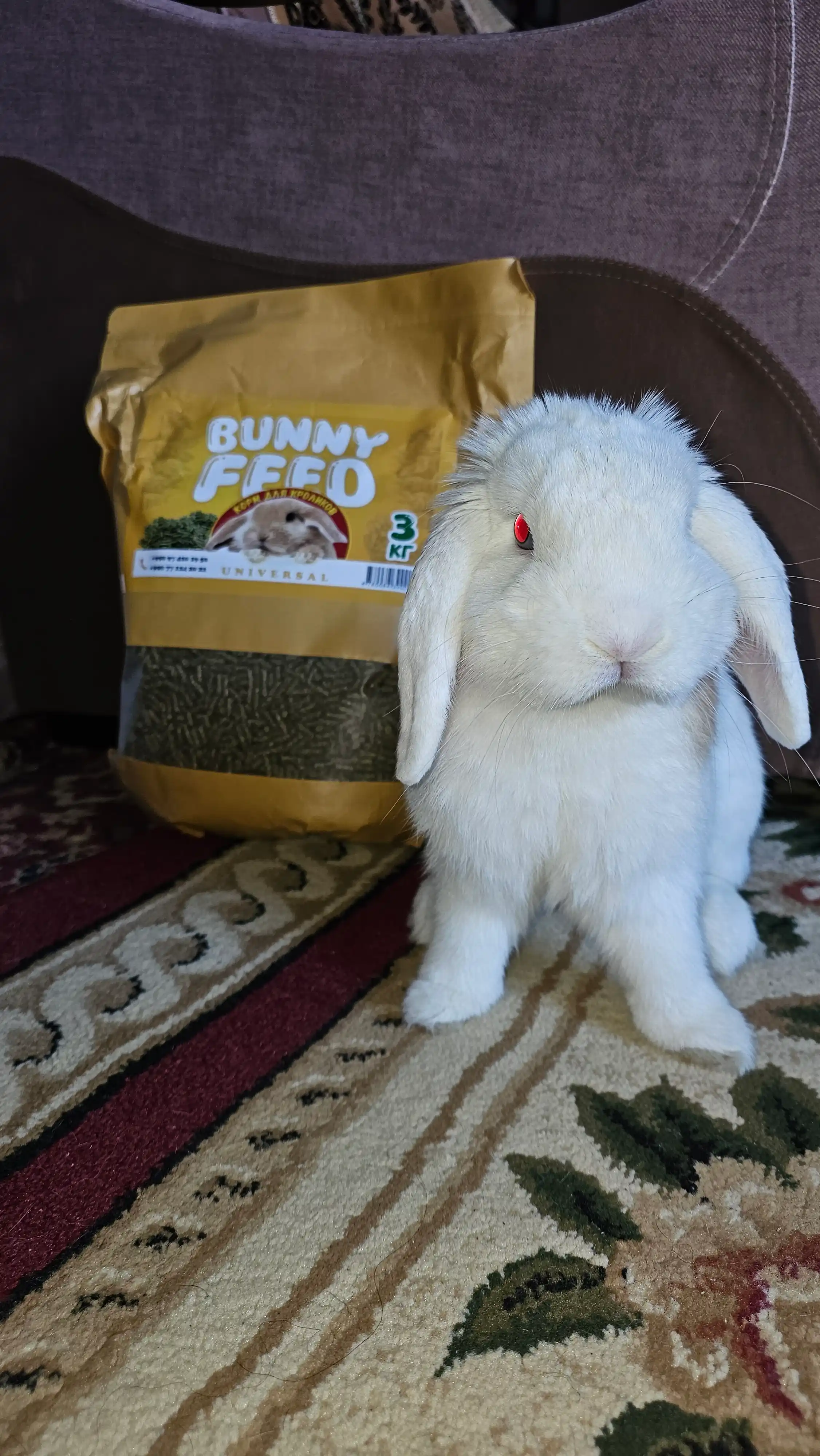 Корм для кроликов и грызунов Bunny Feed Universal, 1 кг и 3 кг
