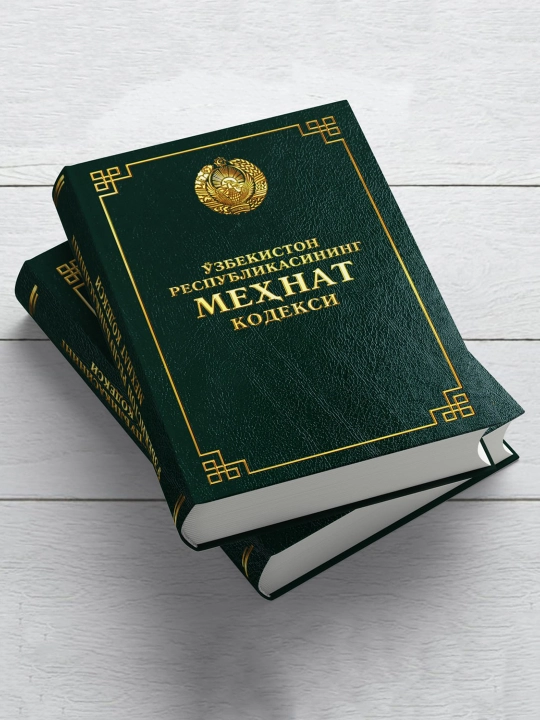 Kodekslar Jinoyat protsessual, Fuqorolik, Soliq, Mehnat, Ma'muriy javobgarlik kodeksi