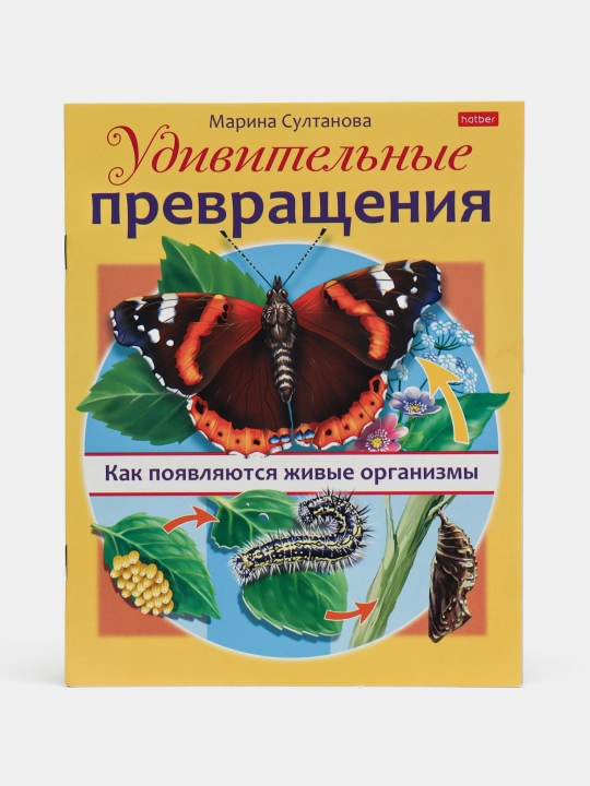 Knizhka Udivitel'nyye prevrashcheniya Kak poyavlyayutsya zhivyye organizmy, A5 format, 8 varaq - 