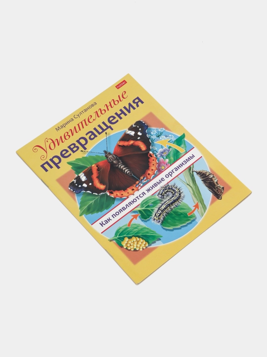 Knizhka Udivitel'nyye prevrashcheniya Kak poyavlyayutsya zhivyye organizmy, A5 format, 8 varaq