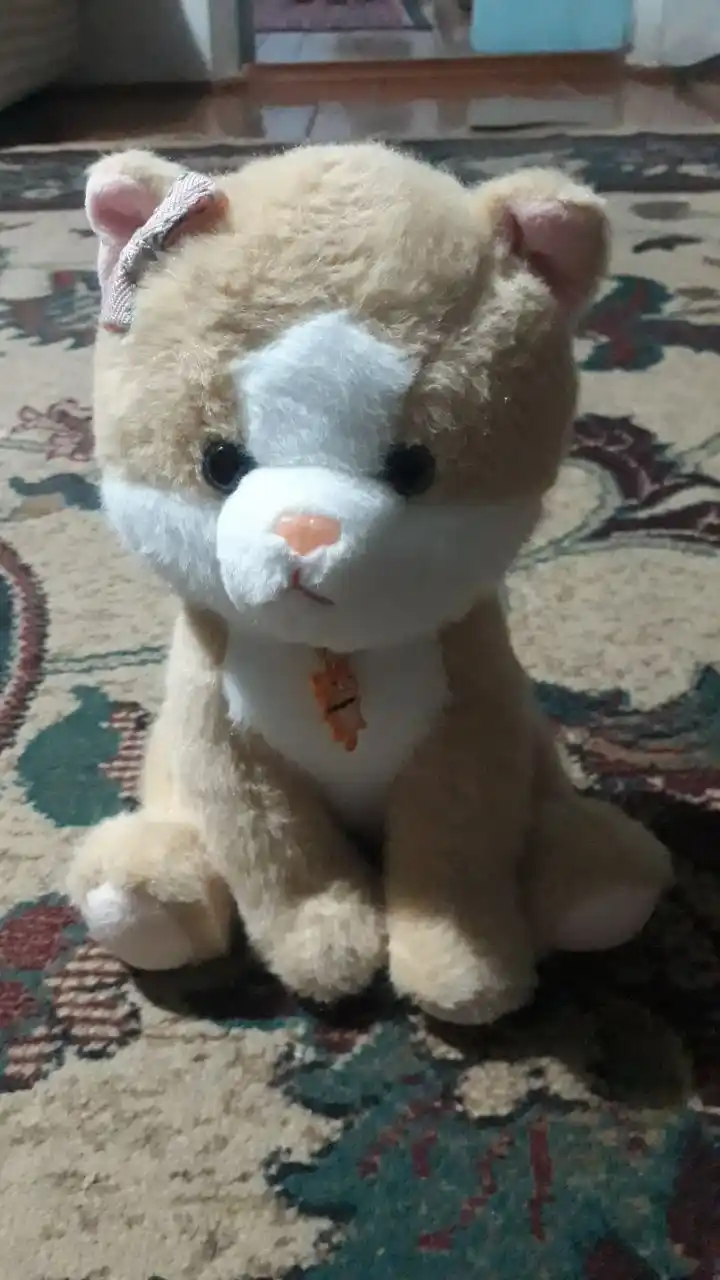 Мягкая игрушка кошка, собачка