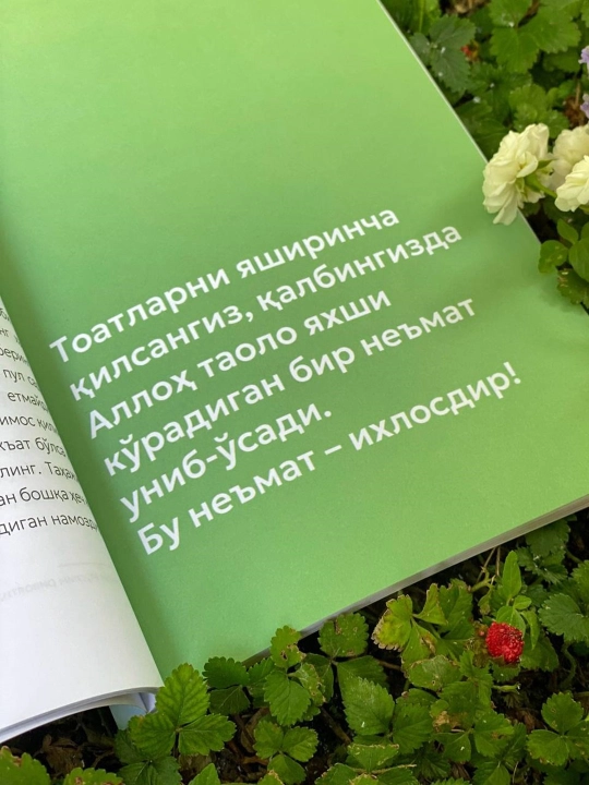 Аллох сари йигирма бекат, Усома Миншавий