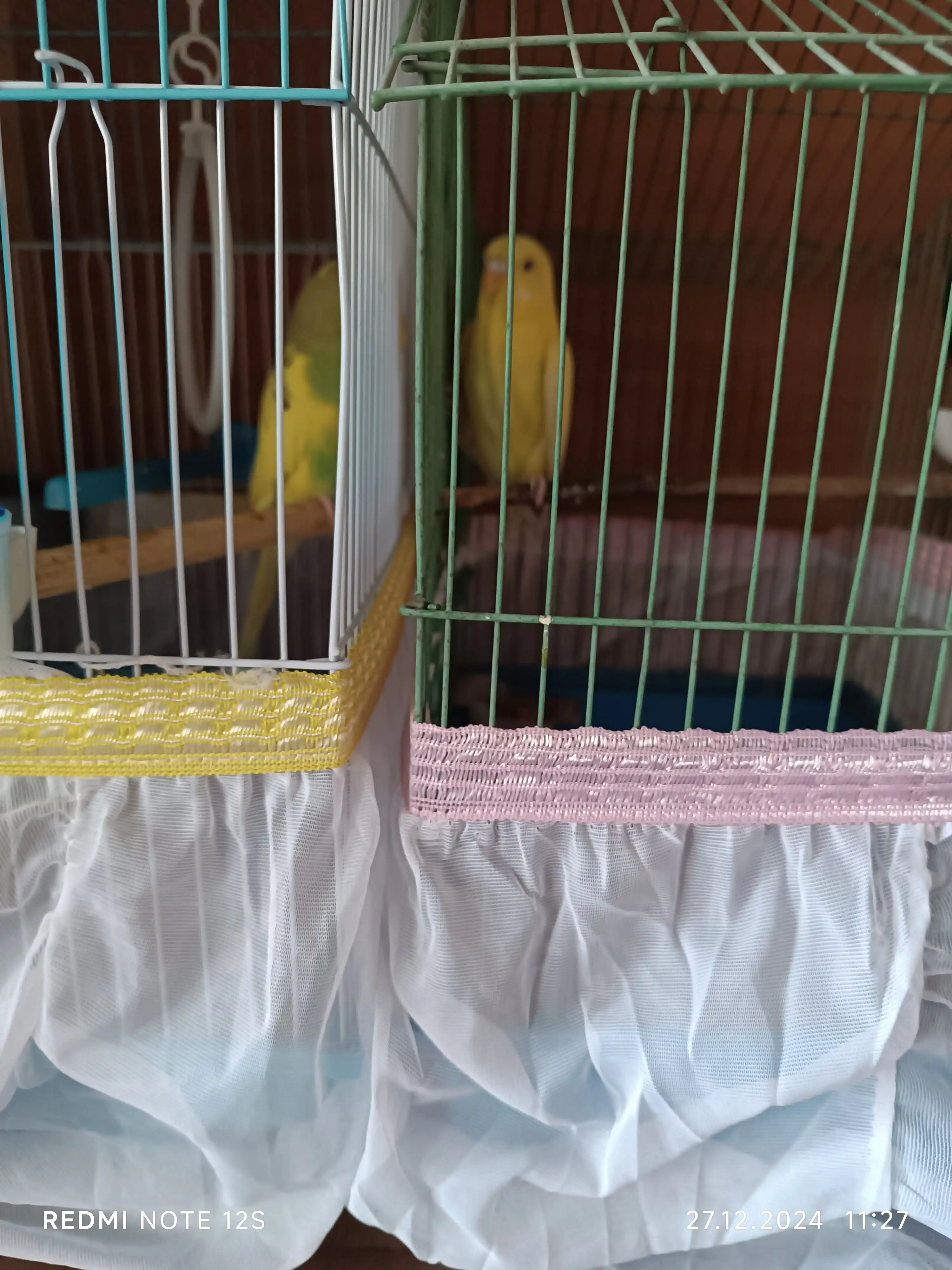 Qushlarning qafasi uchun urug' ushlagich fartuk, taglik Beak's