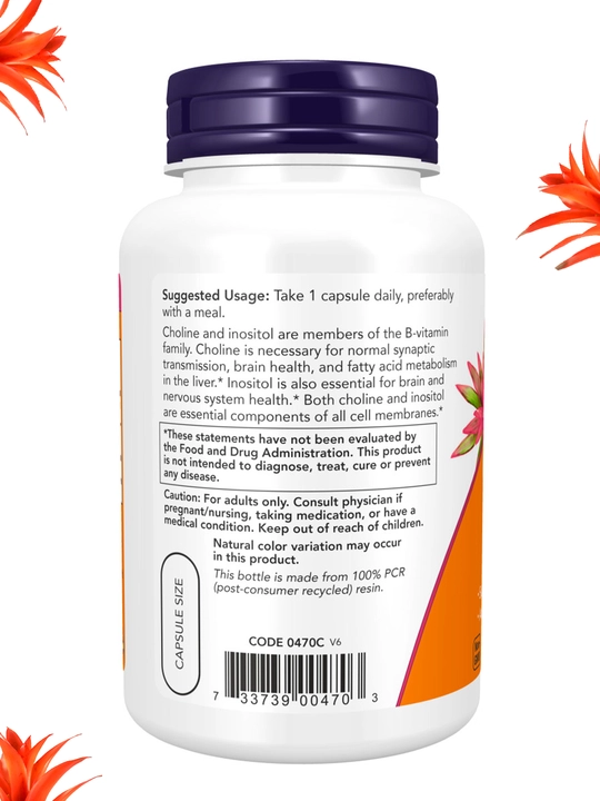 NOW Foods, xolin va Inositol, 100 kapsula