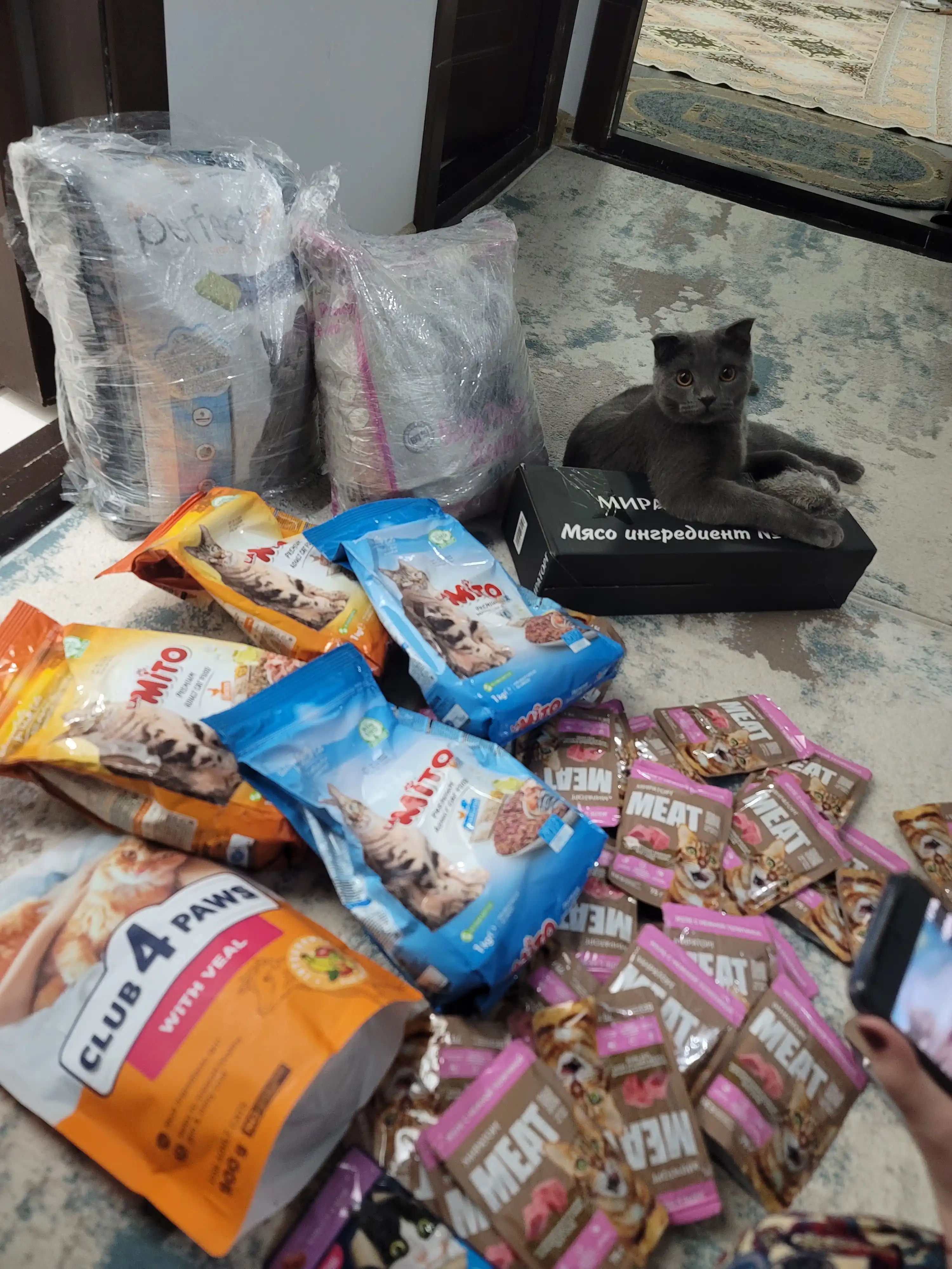 Club 4 Paws сухой корм для кошек, с говядиной, 900 г