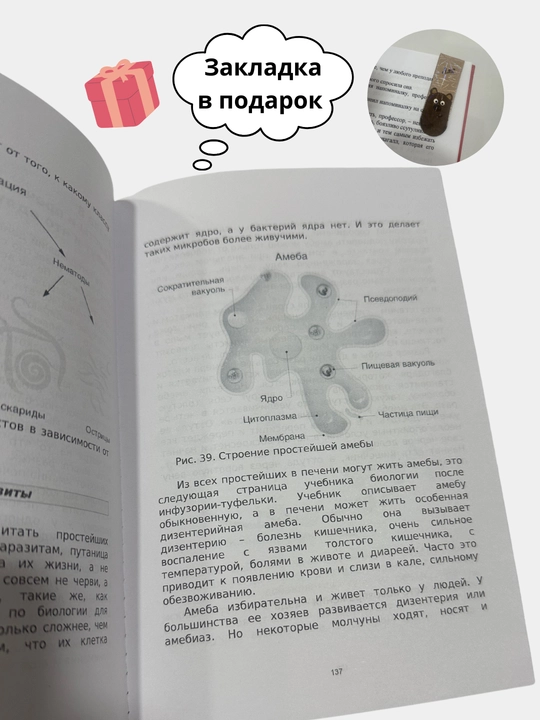O chem molchit pechen, Sergey Vyalov