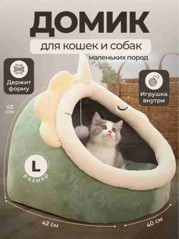 Har bir yoriqdan sperma daryo kabi oqadi Onlayn shaxsiy uy veb-kamerasi videolarini tomosha qiling