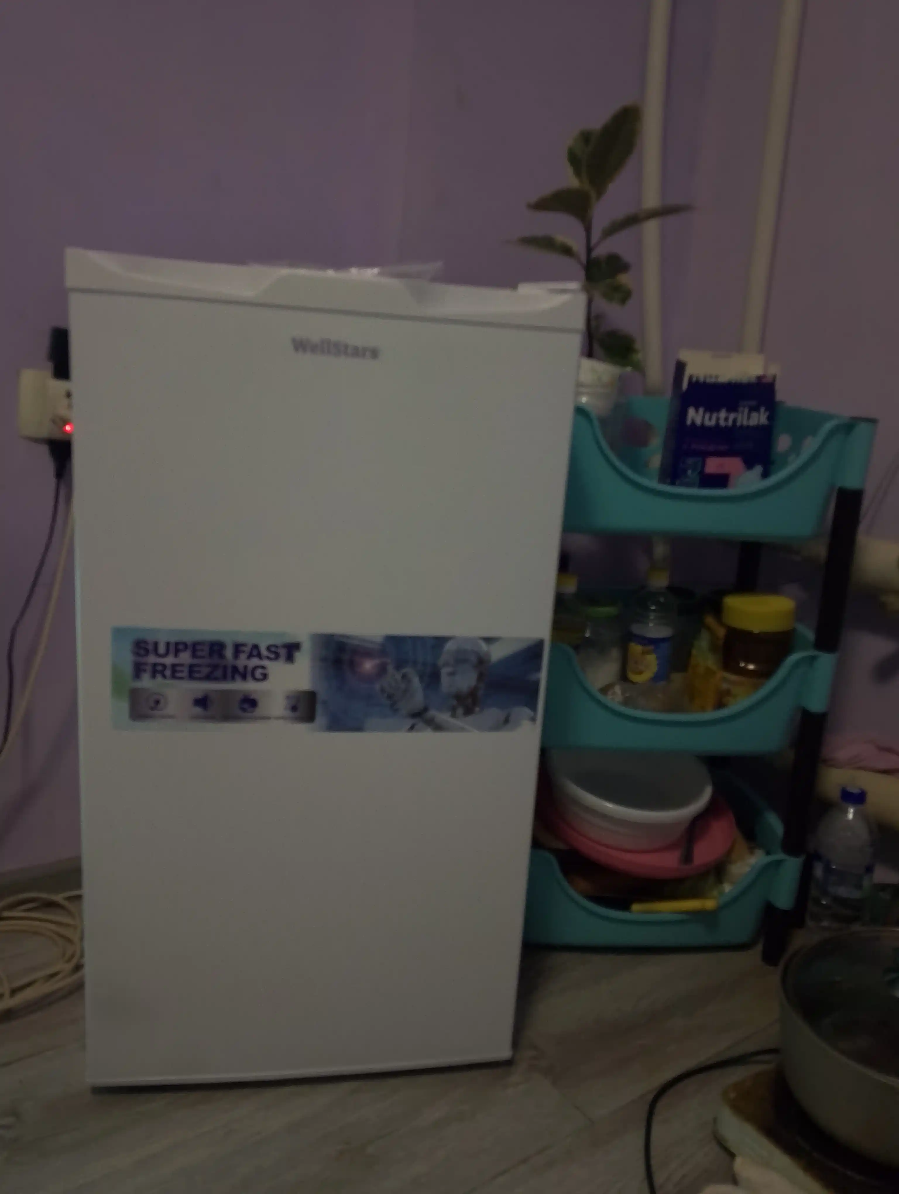 Холодильник WellStars DeFrost, 90, 225 л