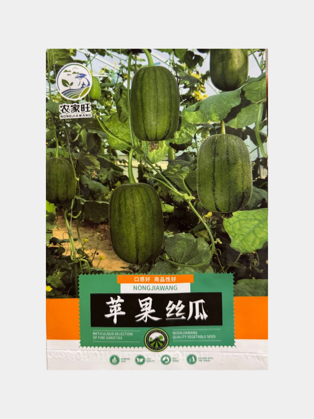 Porno aktrisalar kerak