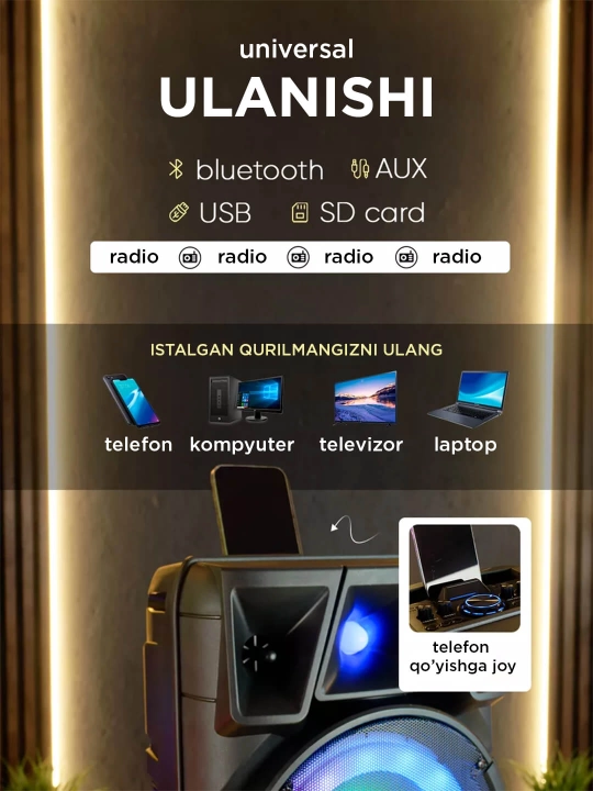 Kalonka karaoke, Bluetooth simsiz portativ dinamik, mikrofonli musiqa kalonkasi