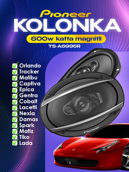 Avtomobil kolonkalari Pioneer TS-A6995R - 