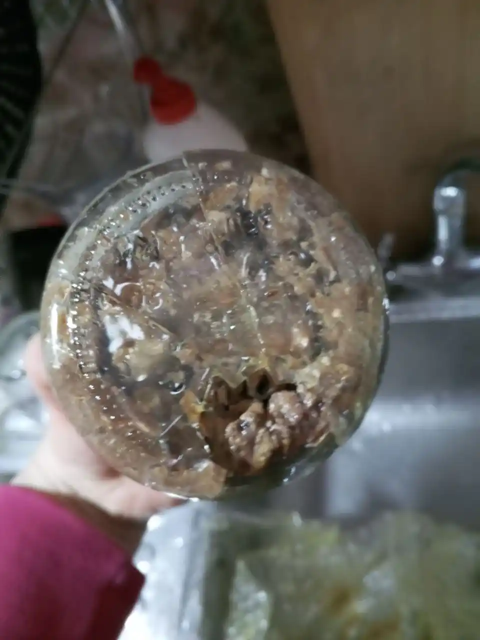 Baltiyaning kilkadan yog'li shprotalar, 270 g