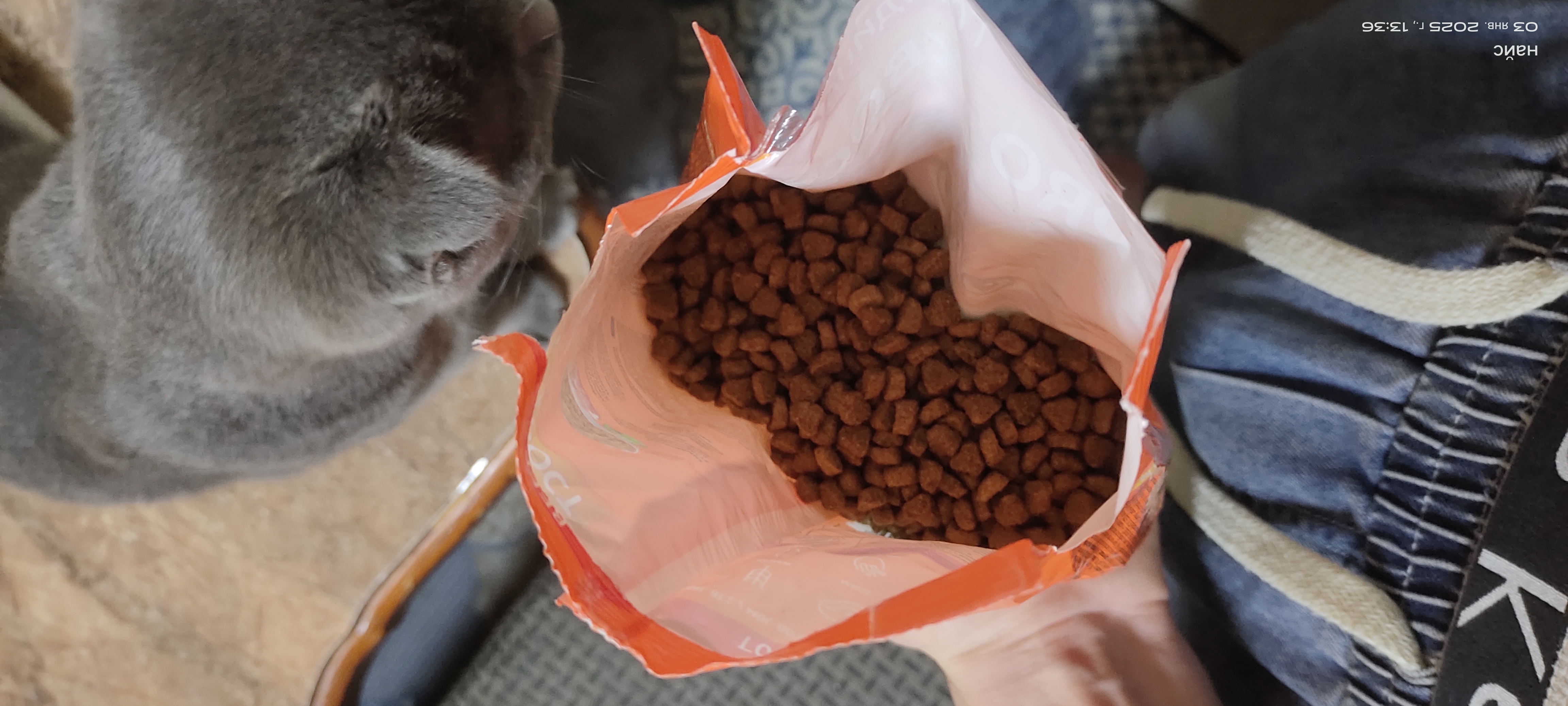 ProXвост mushuklar uchun quruq yem mol go'shti, 350 gr