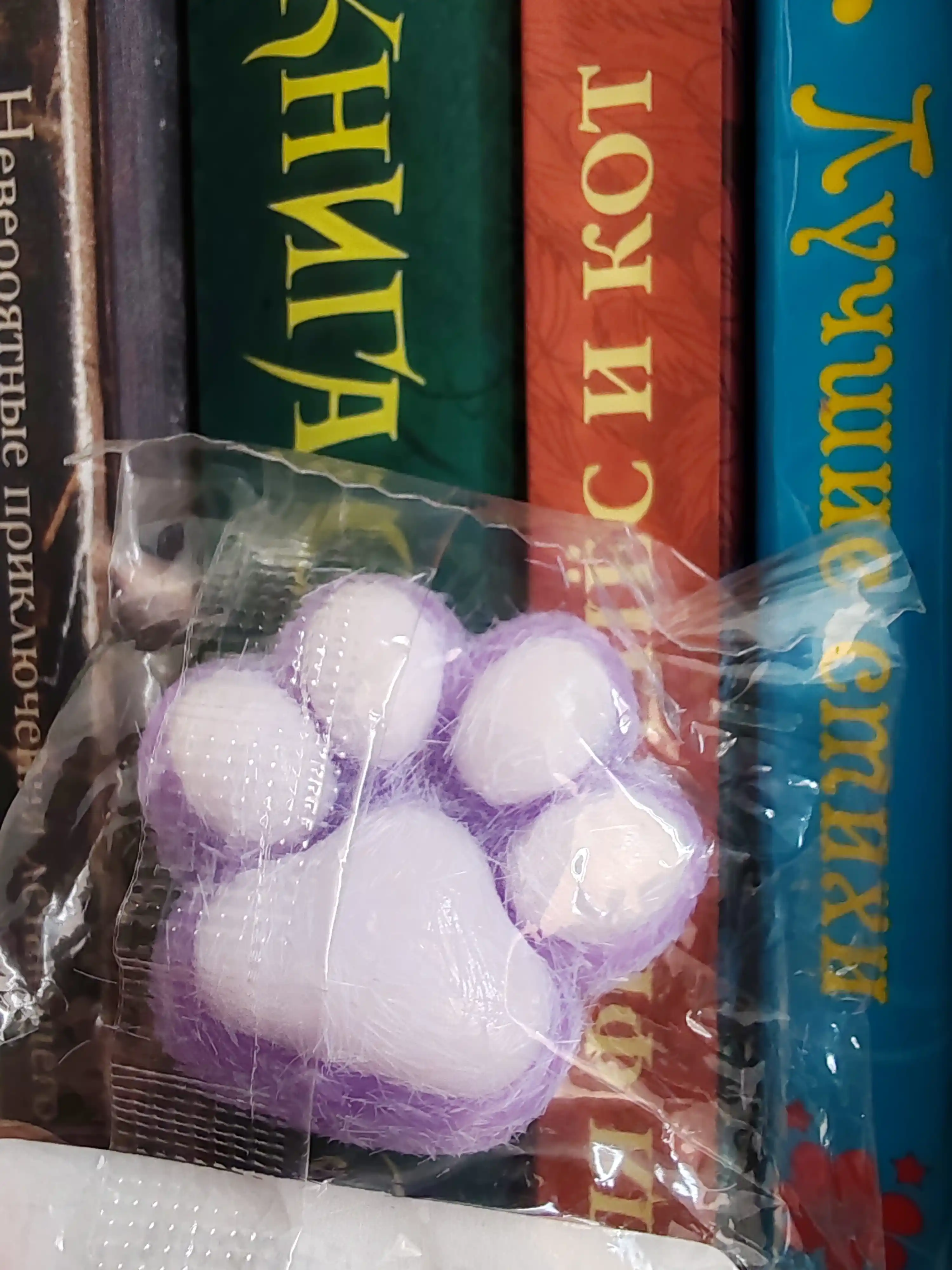 Moynali skvish-panja