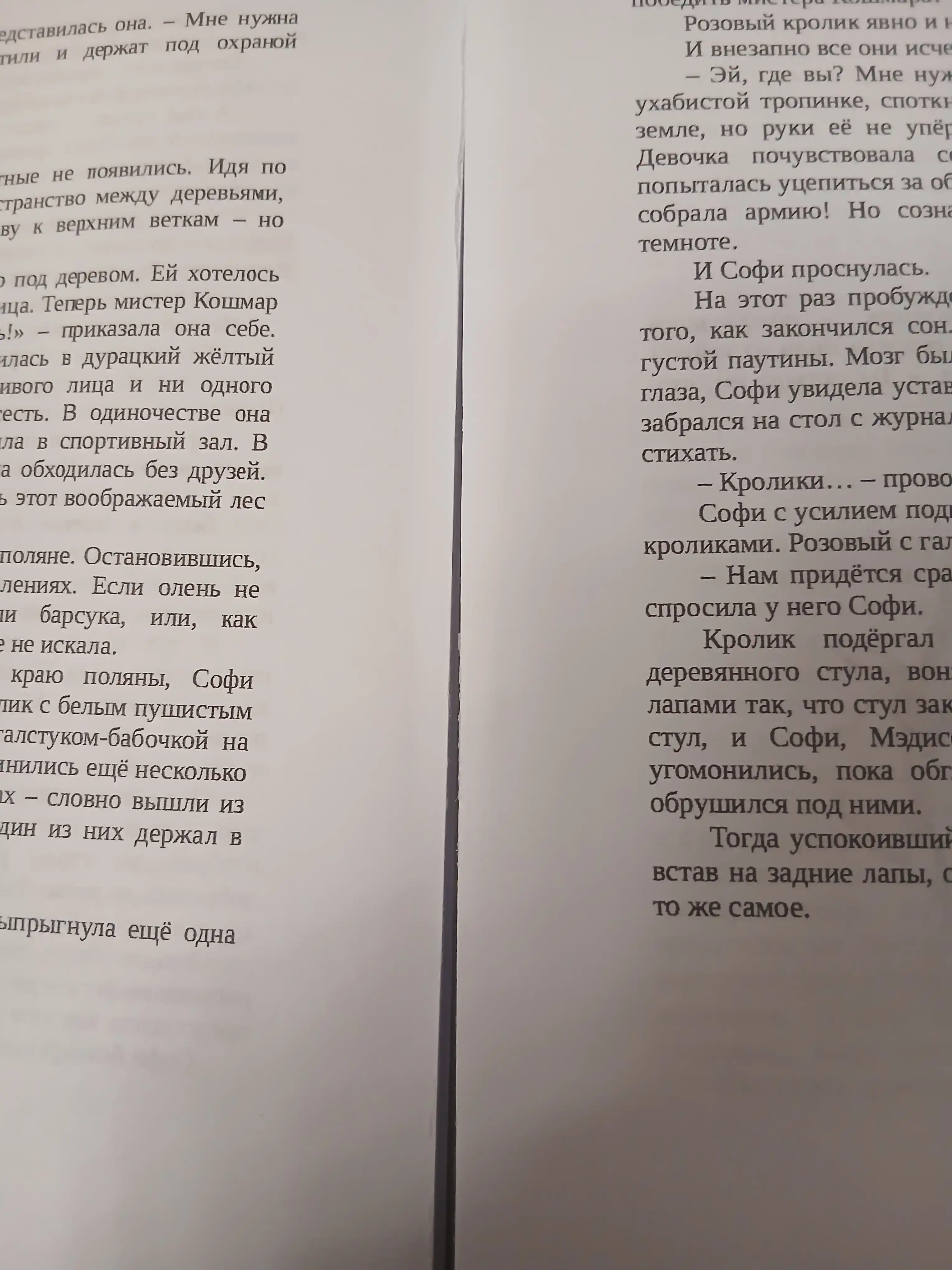 Devochka, kotoraia ne videla snov, Sarah Bet Dyorst