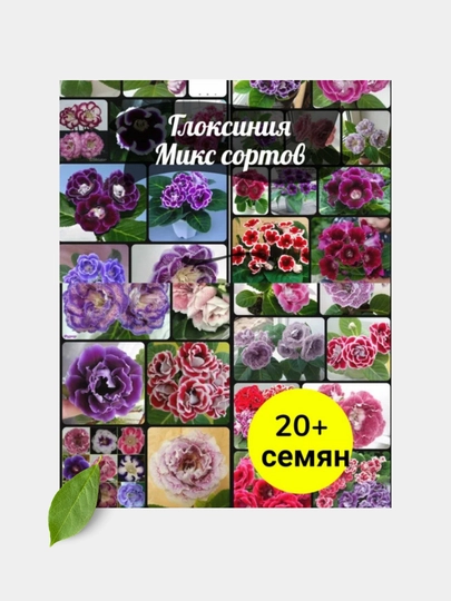 Семена домашнего цветка глоксинии, внутри бывают разных цветов, микс, 20 семян — СЕМЕЧКО-20GLOKS