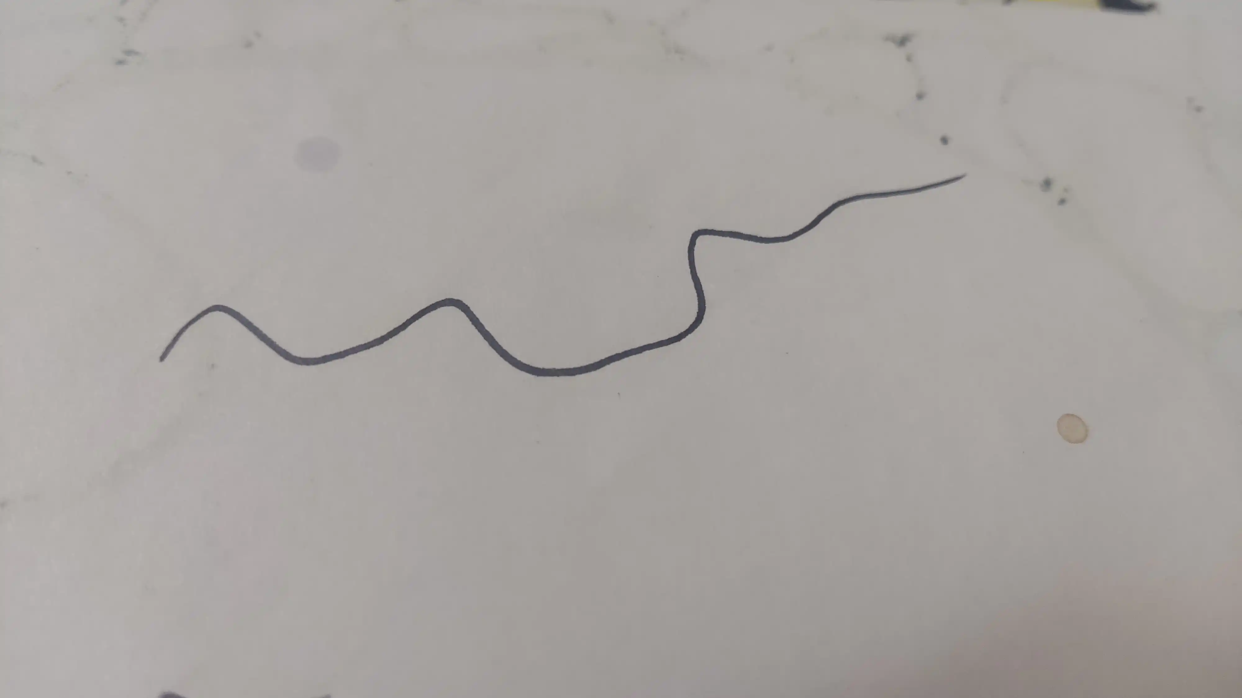 Qora marker 3281L