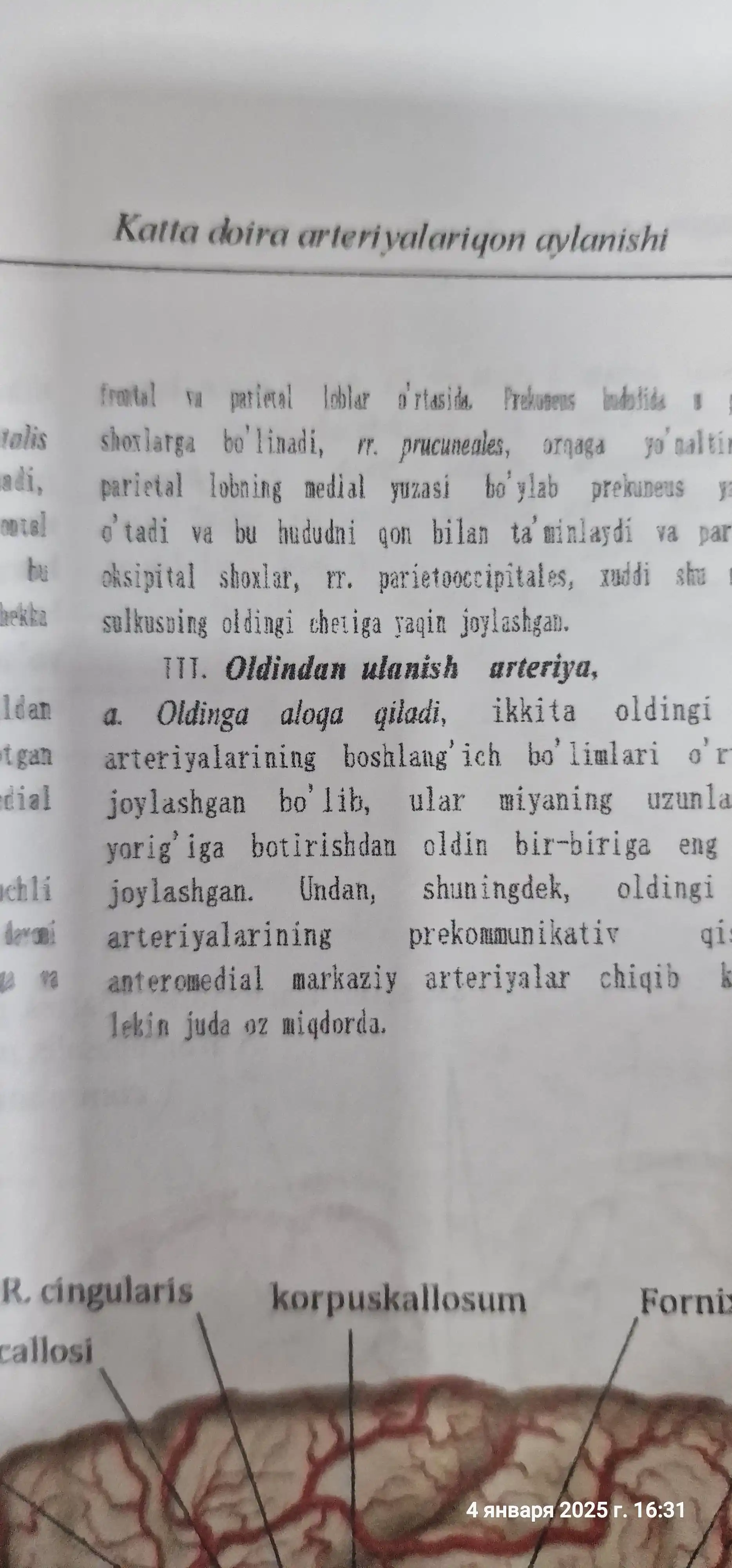 Атлас одам анатомияси, набор томов 1, 2, 3, 4, Синельников, на узбекском языке