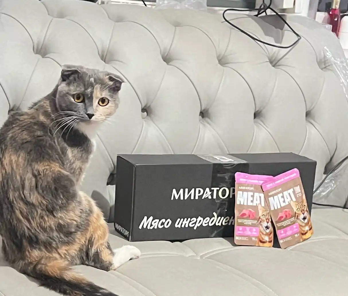 Мираторг Extra Meat влажный корм для кошек, телятина в желе, 75 г, 28 шт