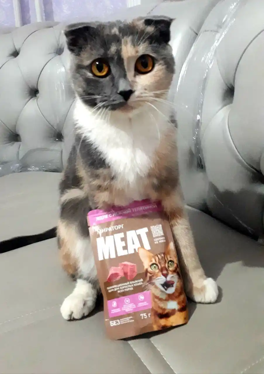 Мираторг Extra Meat влажный корм для кошек, телятина в желе, 75 г, 28 шт