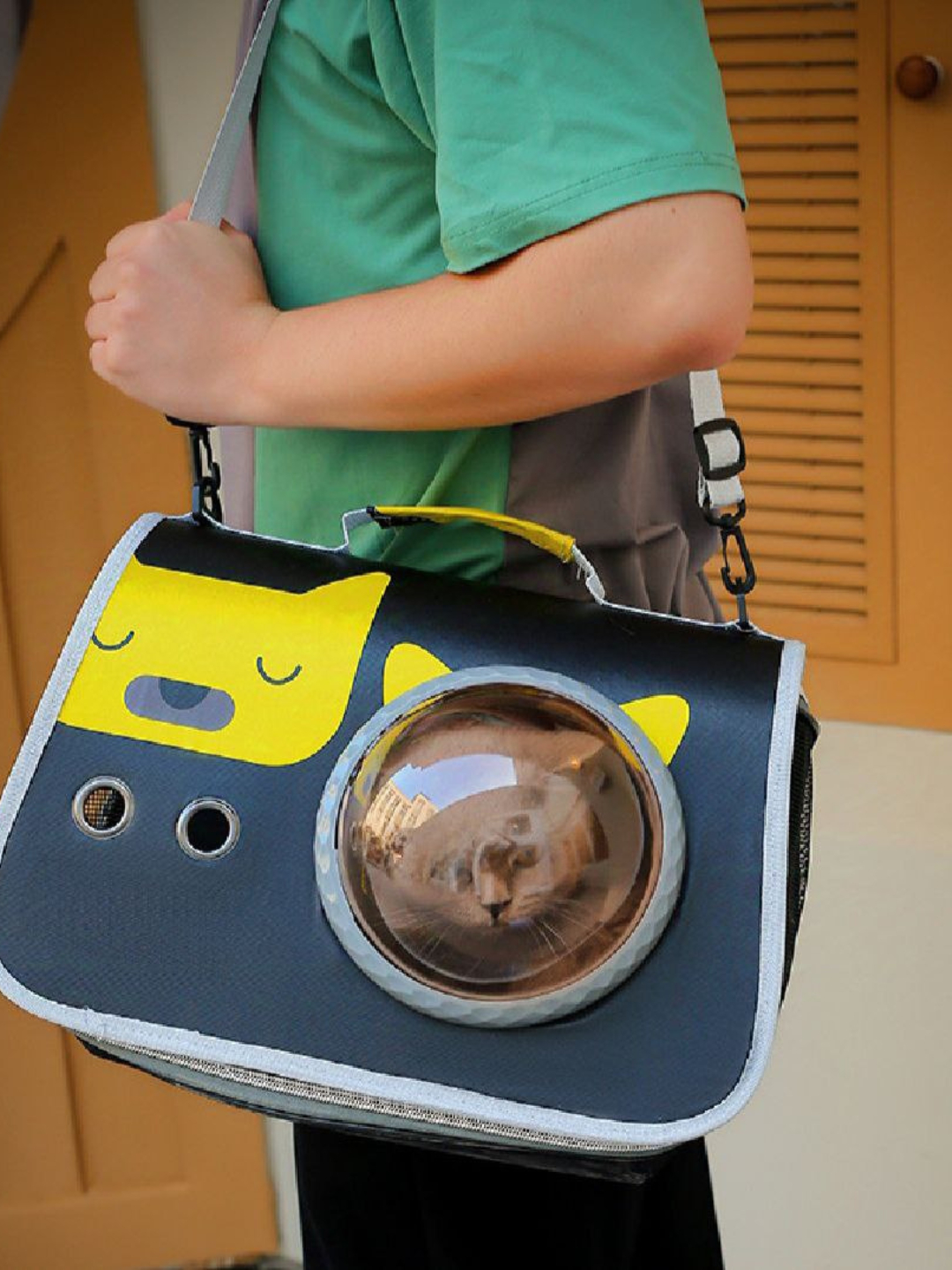 Tabiatdagi anus it uslubi