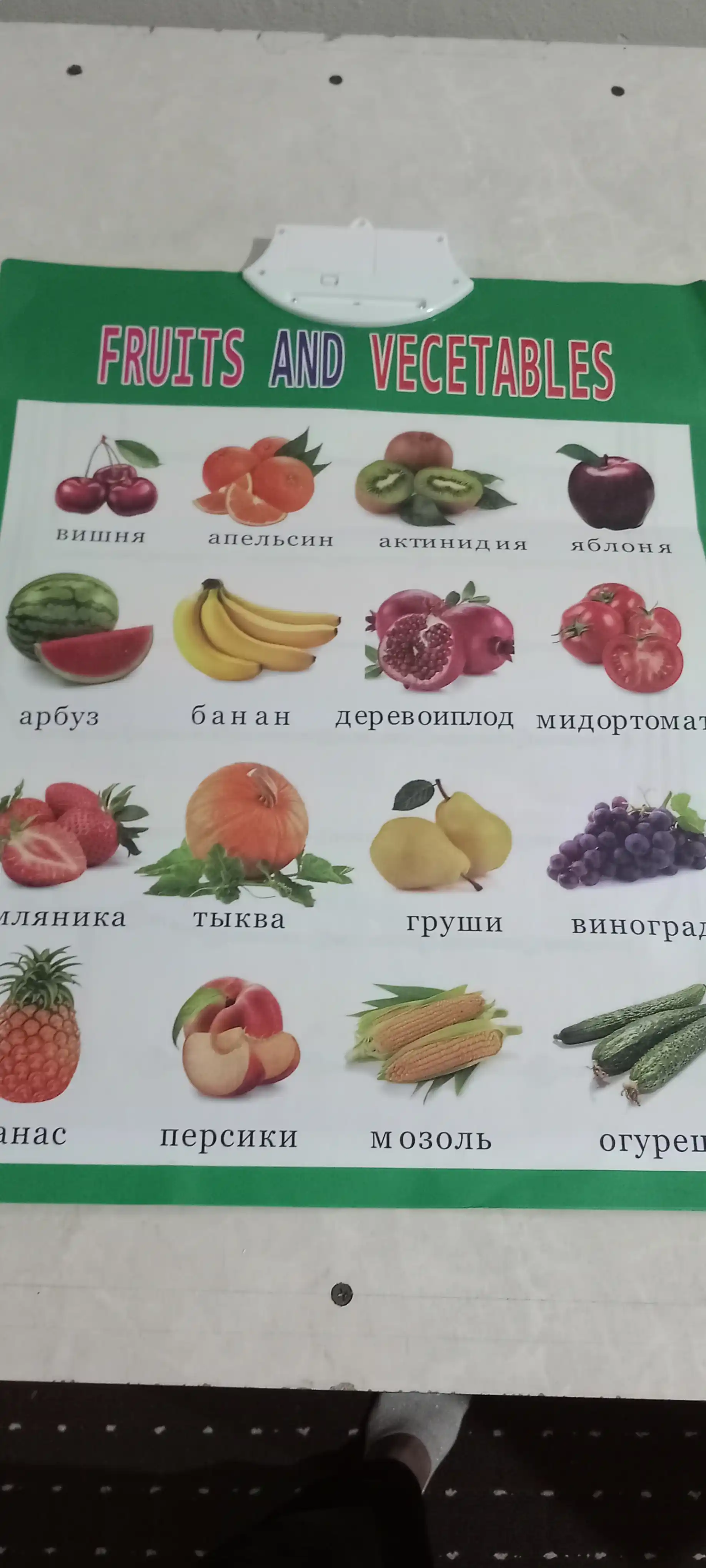 Азбука говорящая, алфавит интерактивный, музыкальный