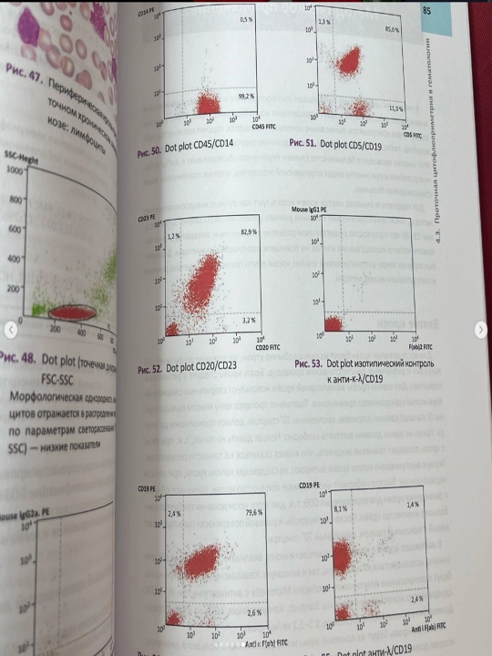 Gematologicheskiy Atlas, Nastolnoye Rukovodstvo Vracha-Laboranta: Atlas po gematologii