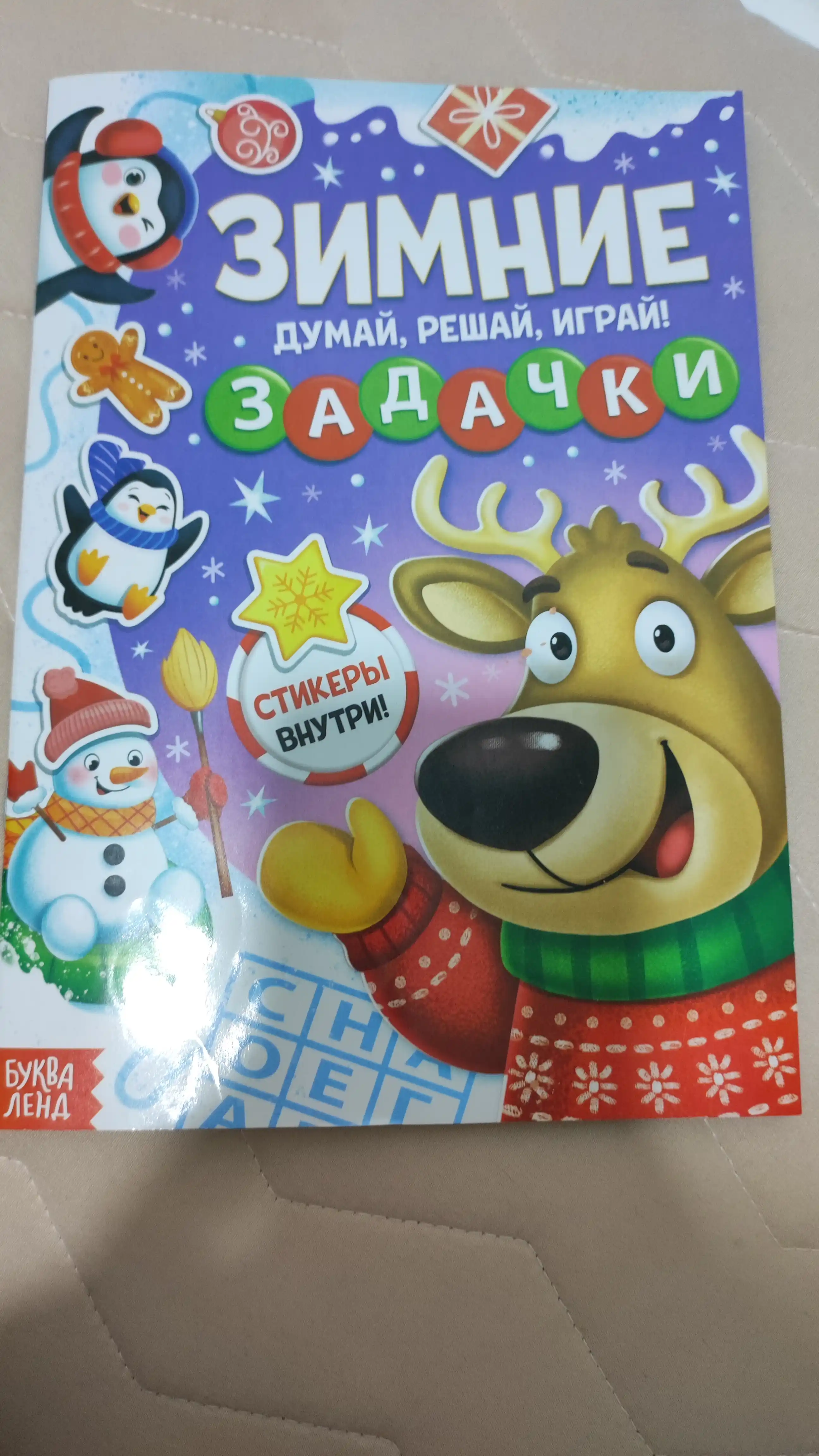 Новогодняя книга "Зимние задачки. Думай, решай, играй!"