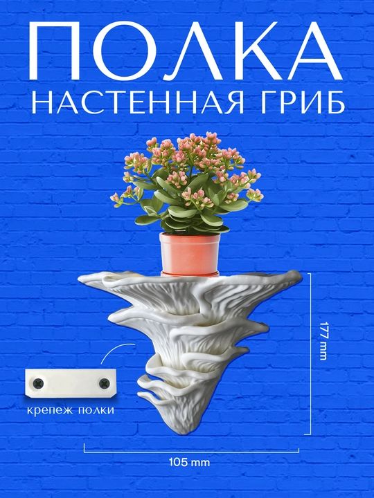 Qo'ziqorinli devor tokchasi - 
