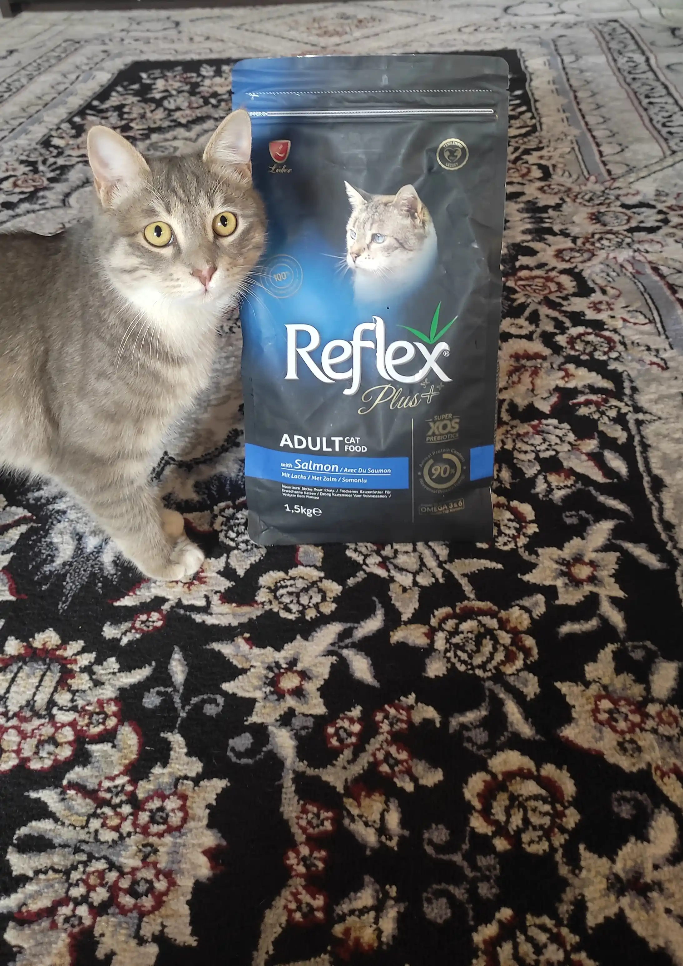 Reflex Plus Katta mushuklar uchun  Salmon losos go‘shti bilan quruq ozuqa, 1.5 kg