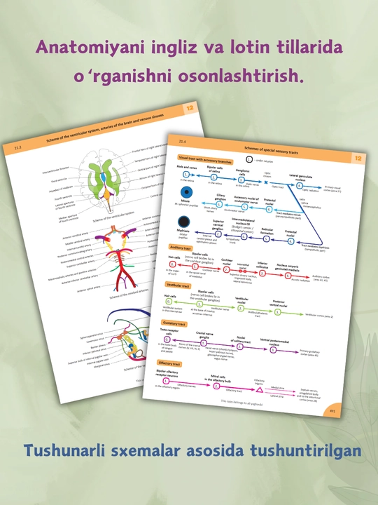 Tibbiyot kitobi, Memorix anatomiya, odam anatomiyasi, A4 formatda, qattiq muqovali