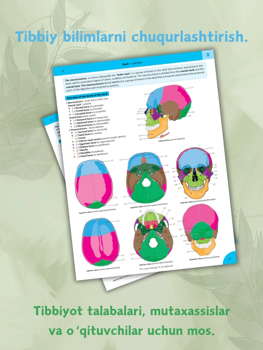 Tibbiyot kitobi, Memorix anatomiya, odam anatomiyasi, A4 formatda, qattiq muqovali