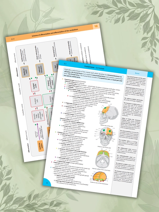 Tibbiyot kitobi, Memorix anatomiya, odam anatomiyasi, A4 formatda, qattiq muqovali