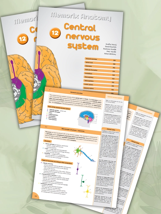 Tibbiyot kitobi, Memorix anatomiya, odam anatomiyasi, A4 formatda, qattiq muqovali