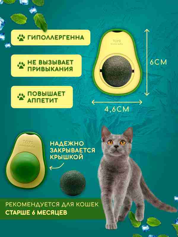 Yosh gozal mushuklar yaqindan Yosh gozal mushuklar yaqindan