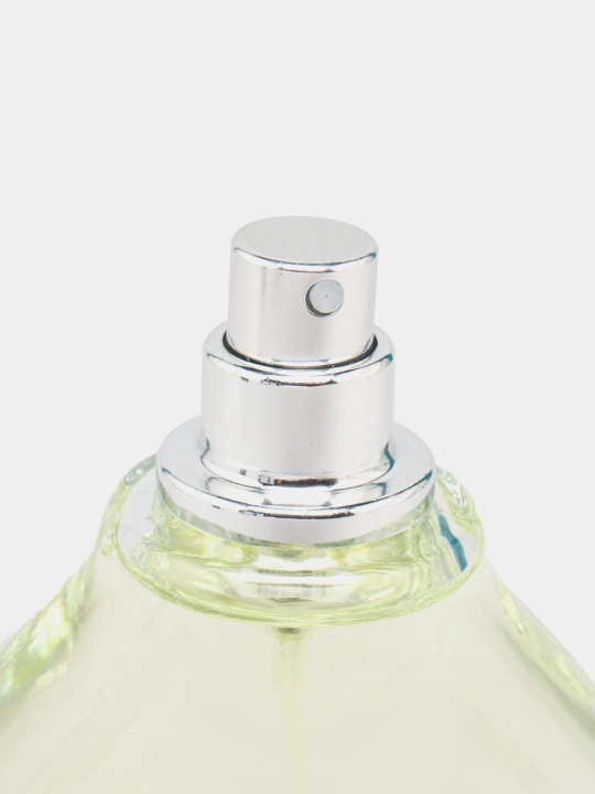 Erkaklar uchun parfyumlangan suv SAHEB, 100 ml