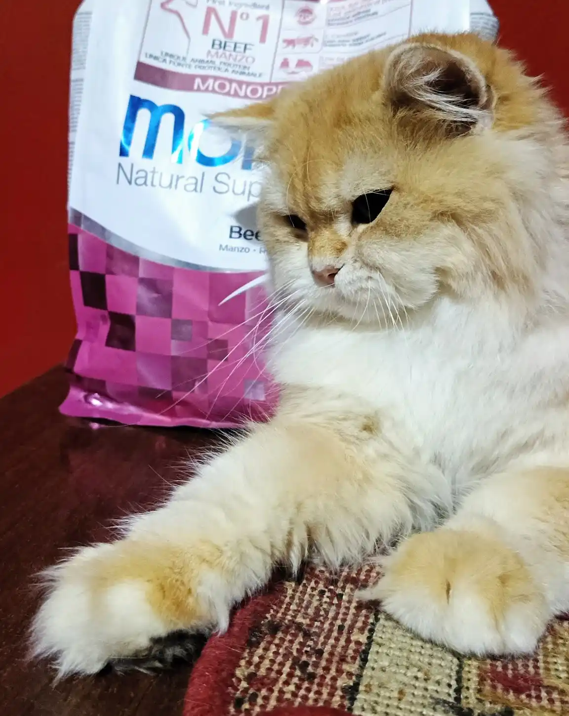 Monge корм для котят, с говядиной, 400 гр