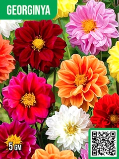 Yashil
