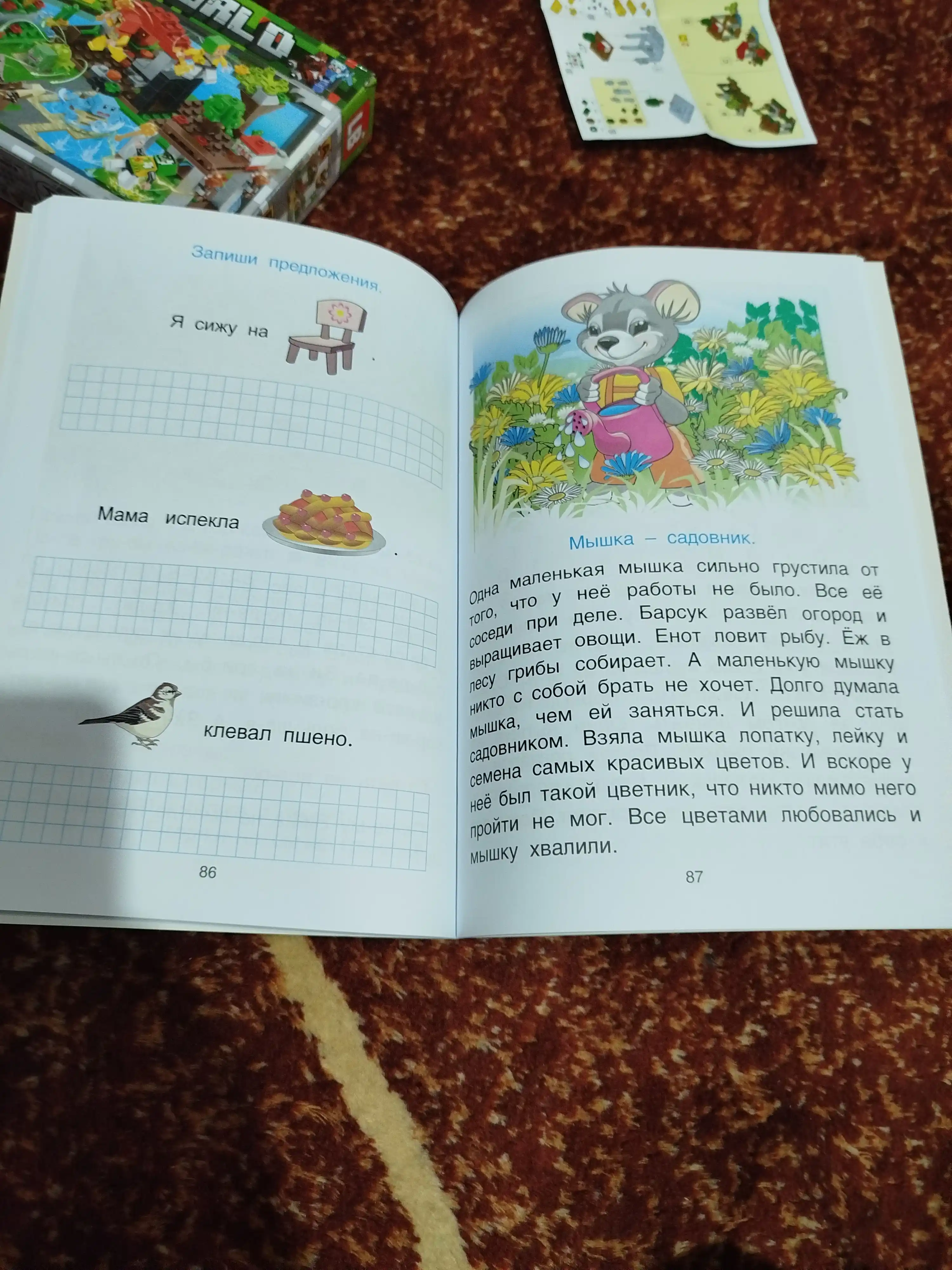 Bukvar doshkolnika, Chitay-pishi + propis, V.G.Pronin
