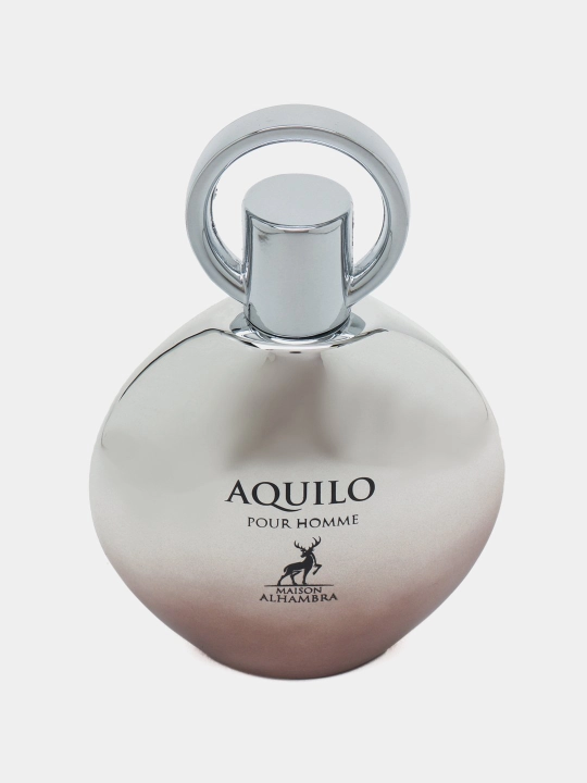 Парфюмерная вода для мужчин Aquilo Pour Homme Alhambra 100 ml