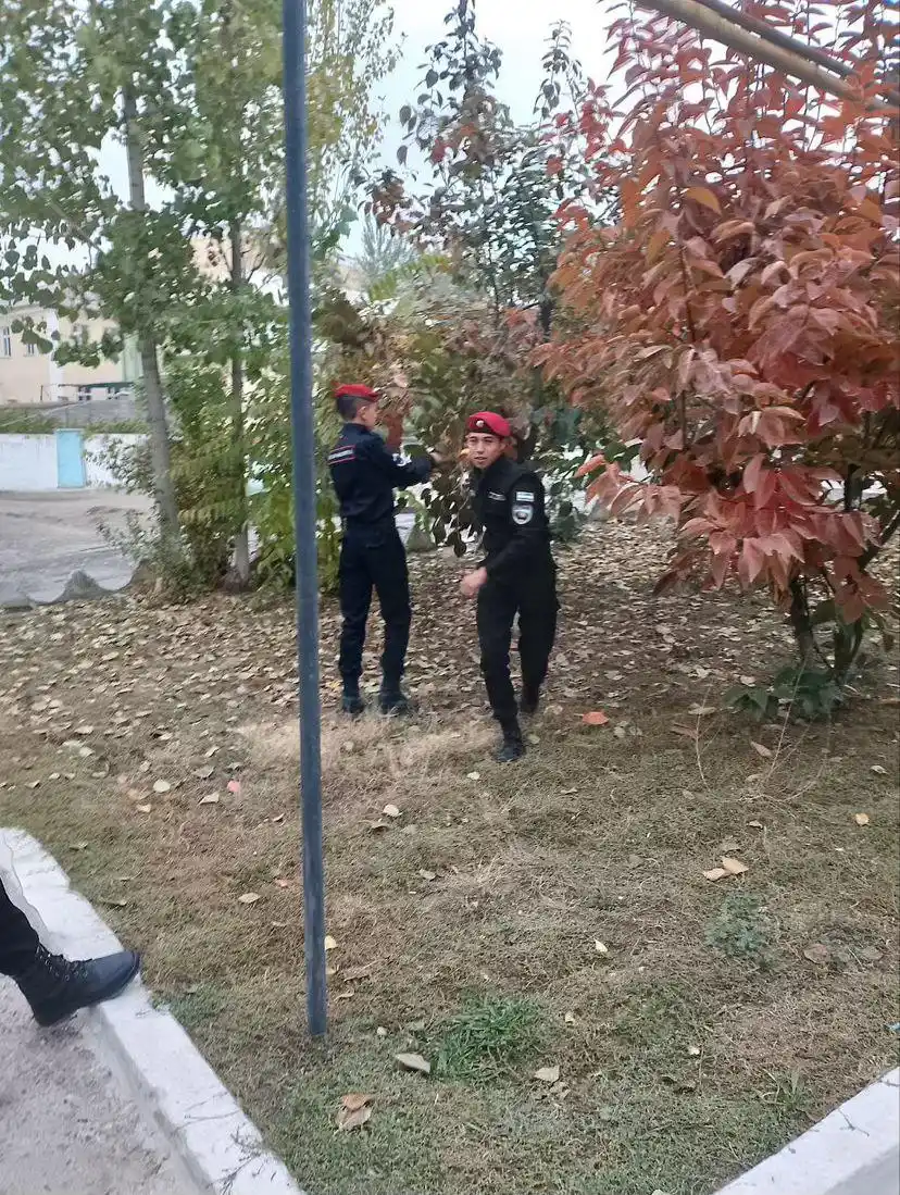 Ayollar shippaklari