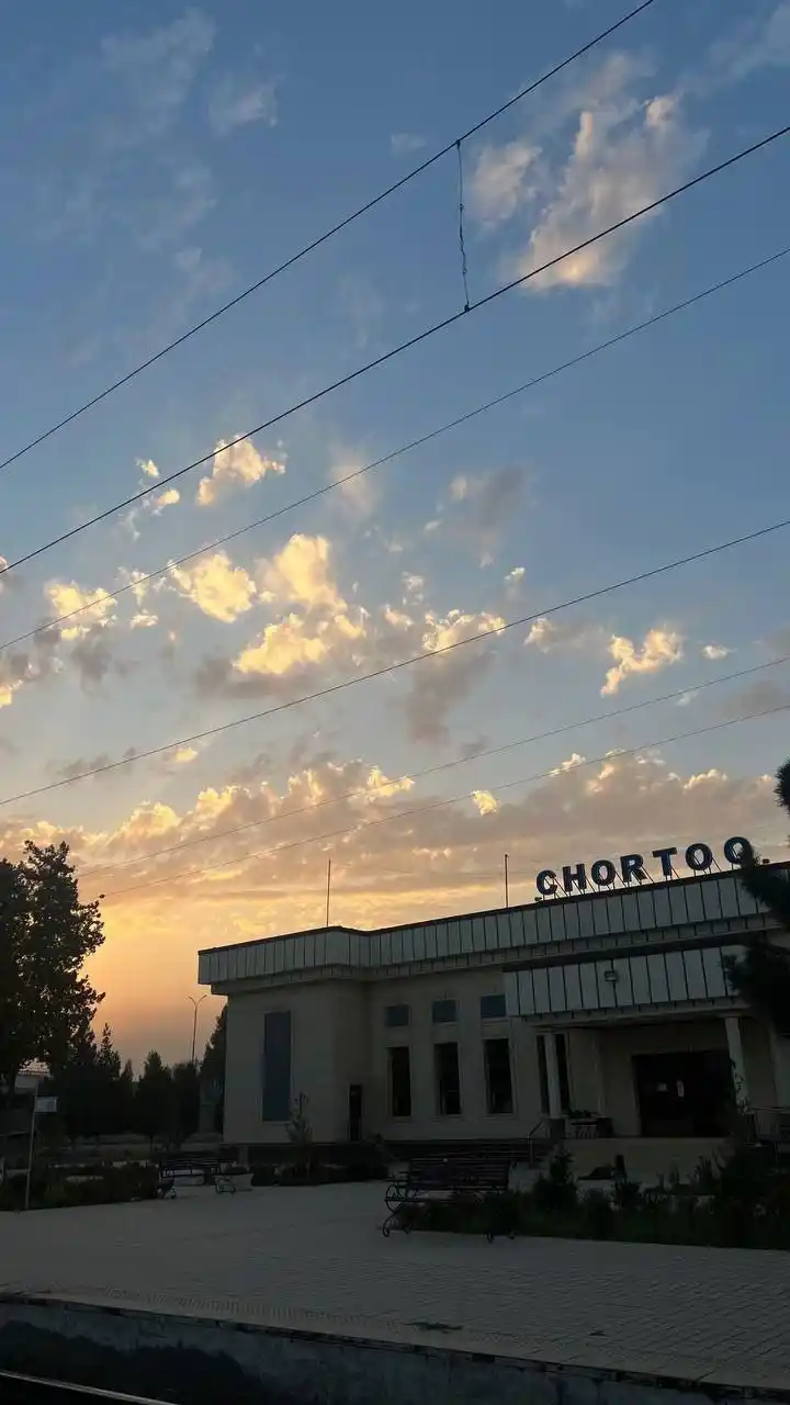 Ayollar shippaklari