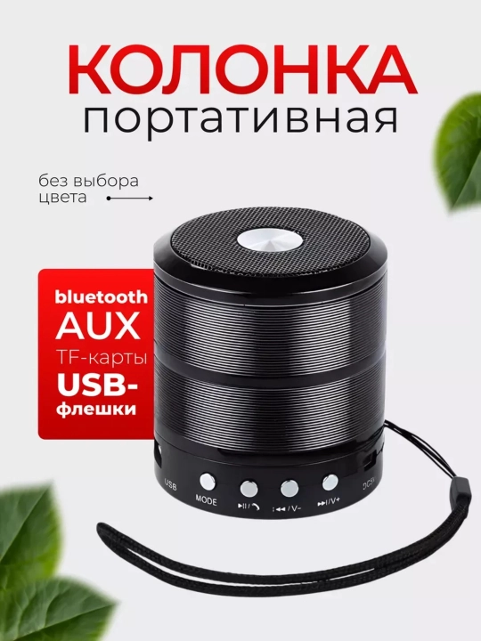 Портативная мини-колонка WS-887, динамики  - 