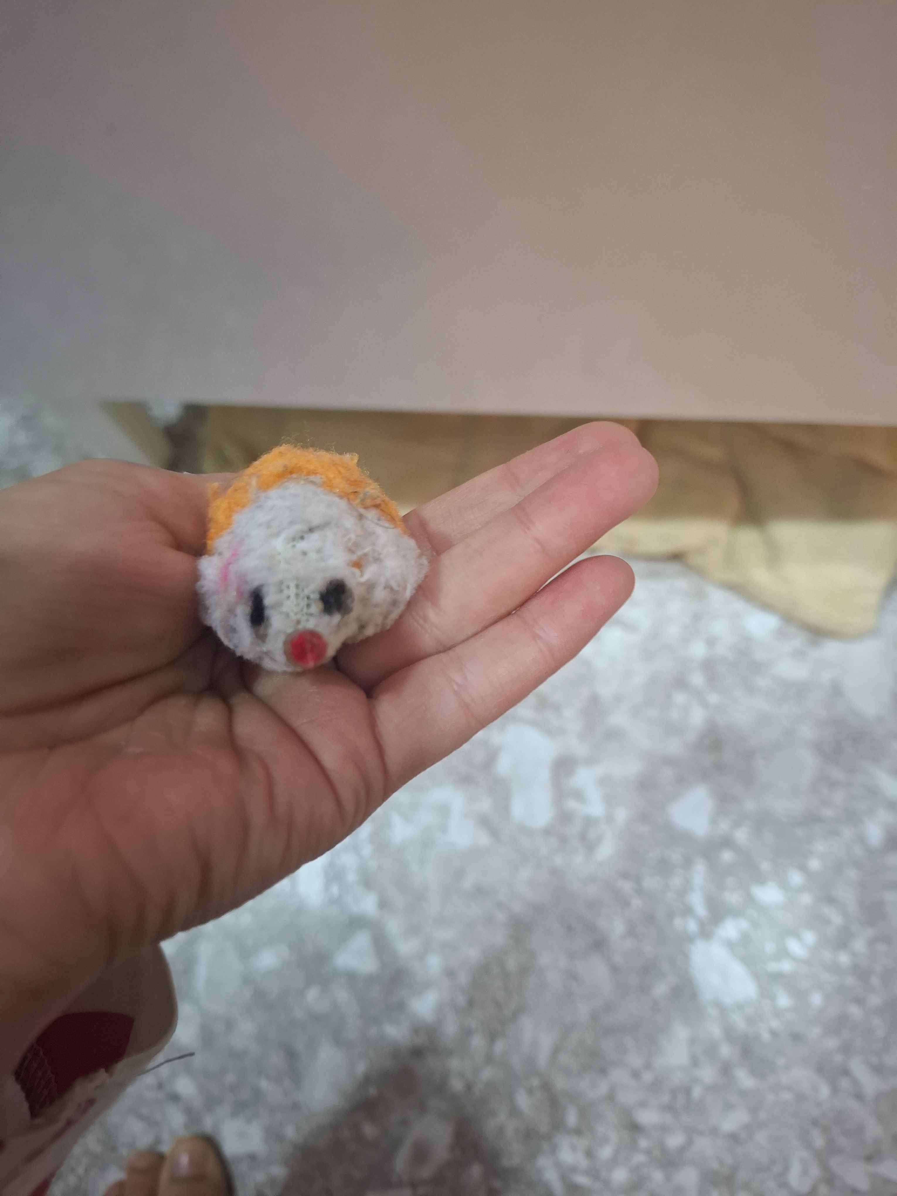 Katta kokrakli qiz bilan tanishish Yovvoyi orkide filmidan erotik fotosuratlar